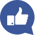 Facebook like icon