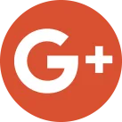 Google Plus icon